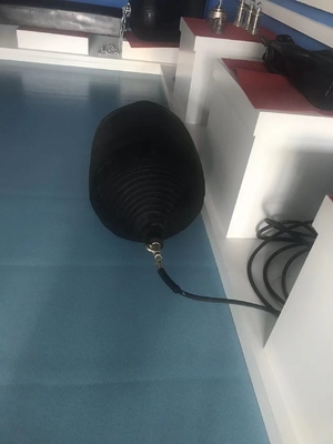 D1M*EL12M W-Typ Gummi-Fender für Jetty-Schutz 6-8 Jahre