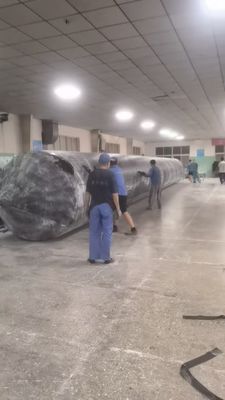 1m 30m Länge Hochbeständigkeit Marine Gummi-Airbag für die Marine-Industrie und Schiff Rettung Lösungen